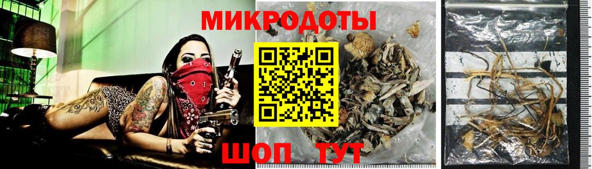 Галлюциногенные грибы мицелий  Псилоцибиновые грибы Magic Shrooms  закладка  Вход с VPN  Пятигорск 